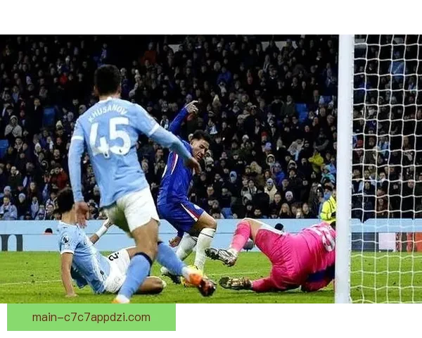 曼城球迷远征挪威爬树看球